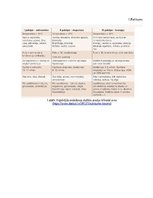 Diplomdarbs 'Biežākās traumas alkohola reibumā jauniešiem no 18-25 gadu vecumā 2017.gada neat', 42.