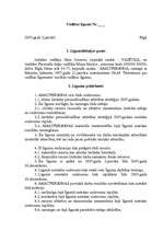 Paraugs 'Vadības līgums', 1.