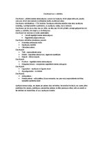 Konspekts 'Saistību tiesības', 19.