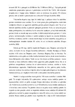 Diplomdarbs 'Latvijas MVU digitālie risinājumi Eiropas Savienības e-komercijas eksporta tirgo', 26.