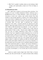 Diplomdarbs 'Latvijas MVU digitālie risinājumi Eiropas Savienības e-komercijas eksporta tirgo', 36.