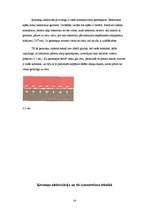 Referāts 'Ķermeņu elektrizācija dabā', 14.