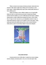 Referāts 'Ķermeņu elektrizācija dabā', 17.