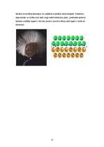 Referāts 'Ķermeņu elektrizācija dabā', 18.