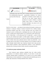 Referāts 'Sabiedriskās domas veidošana SIA "Lattelecom"', 19.