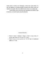 Referāts 'Padomju Savienības drošības iestāžu paņēmieni partizānu darbības apturēšanā', 13.