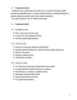 Biznesa plāns 'SIA "The Beauty Empire" biznesa plāns', 8.