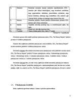 Biznesa plāns 'SIA "The Beauty Empire" biznesa plāns', 11.