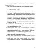 Biznesa plāns 'SIA "The Beauty Empire" biznesa plāns', 15.