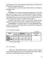 Biznesa plāns 'SIA "The Beauty Empire" biznesa plāns', 19.