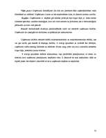 Biznesa plāns 'SIA "The Beauty Empire" biznesa plāns', 20.