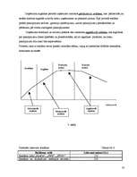 Biznesa plāns 'SIA "The Beauty Empire" biznesa plāns', 23.