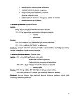 Biznesa plāns 'SIA "The Beauty Empire" biznesa plāns', 31.