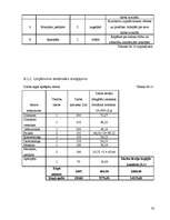 Biznesa plāns 'SIA "The Beauty Empire" biznesa plāns', 33.