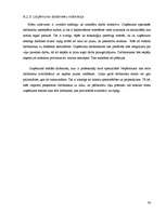 Biznesa plāns 'SIA "The Beauty Empire" biznesa plāns', 34.