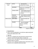 Biznesa plāns 'SIA "The Beauty Empire" biznesa plāns', 36.