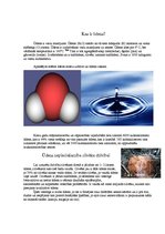 Referāts 'Pētījums par ūdeni', 3.