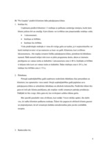 Biznesa plāns 'Viesu nams', 6.