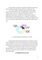 Biznesa plāns 'Viesu nams', 8.