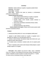 Referāts 'Intereses veidošana par zvaigžņu un zvaigznāju vērojumiem jauniešiem Madonā', 2.