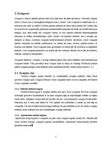 Referāts 'Intereses veidošana par zvaigžņu un zvaigznāju vērojumiem jauniešiem Madonā', 8.