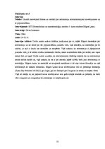 Referāts 'Intereses veidošana par zvaigžņu un zvaigznāju vērojumiem jauniešiem Madonā', 32.