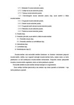 Prakses atskaite 'VID prakses atskaite', 8.