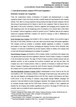 Eseja 'International Business', 8.