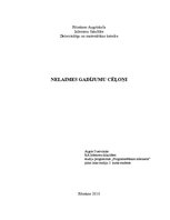 Referāts 'Nelaimes gadījumu cēloņi', 1.