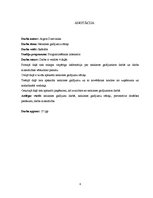 Referāts 'Nelaimes gadījumu cēloņi', 4.