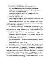 Referāts 'Nelaimes gadījumu cēloņi', 10.