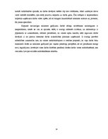 Referāts 'Nelaimes gadījumu cēloņi', 14.