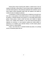 Referāts 'Nelaimes gadījumu cēloņi', 17.