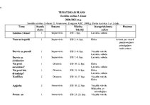Konspekts '3.klases mācību priekšmetu tematiskie plāni', 4.