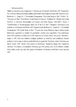 Referāts 'Etniskais sastāvs Amerikas Savienotajās valstīs 19.gadsimtā', 7.