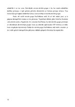 Referāts 'Etniskais sastāvs Amerikas Savienotajās valstīs 19.gadsimtā', 10.