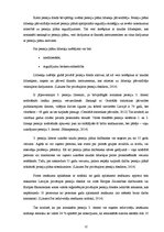 Referāts 'Trešais pensiju līmenis Latvijā', 22.