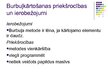 Prezentācija 'Datu kārtošanas metodes. Naivais un burbuļa kārtošanas algoritms', 20.