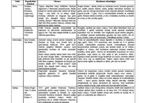 Referāts 'Viskijs', 6.