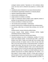 Referāts 'Latvijas Republikas VID muitas struktūra', 13.