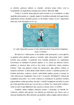 Paraugs 'Dažādības vadība cilvēku ar invaliditāti  karjeras un talantu izaugsmē', 14.