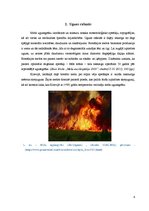 Referāts 'Meža ugunsgrēku ietekme uz priežu jaunaudžu sanitāro stāvokli', 4.