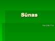 Prezentācija 'Sūnas', 1.