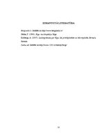 Referāts 'Berģi', 10.