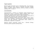 Referāts 'Beļģijas ekonomiskā ģeografija', 7.