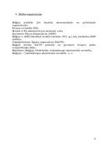 Referāts 'Beļģijas ekonomiskā ģeografija', 10.