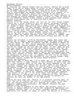 Eseja 'Chlorine', 1.