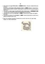 Konspekts 'Consonants Phonetics', 2.