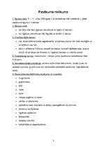 Referāts 'Tūrisma maršruts - Gauja', 4.