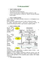 Konspekts 'Civilā un vides aizsardzība', 1.
